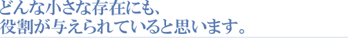 どんな小さな問題にも役割が与えられていると思います